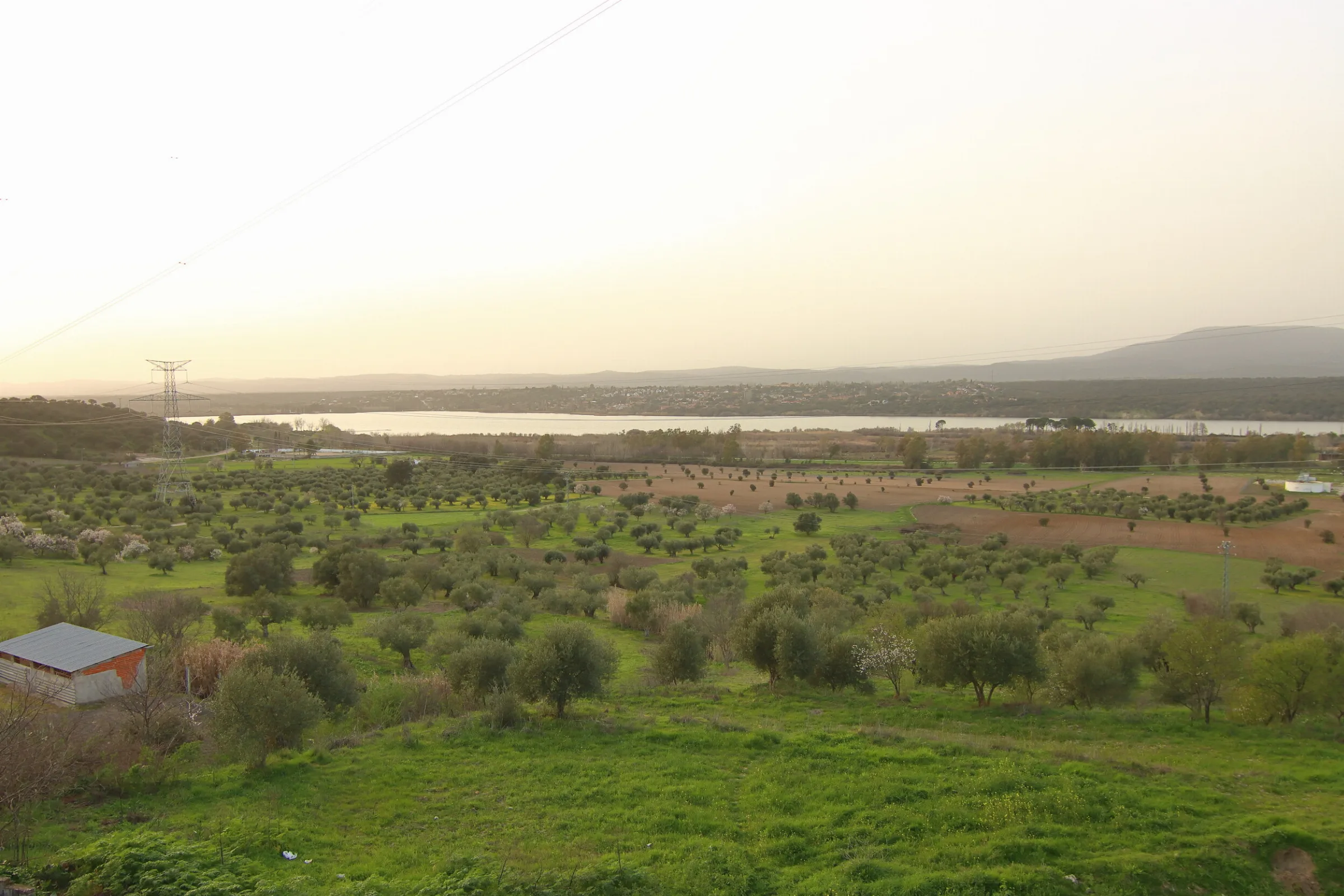 Cazalegas reservoir