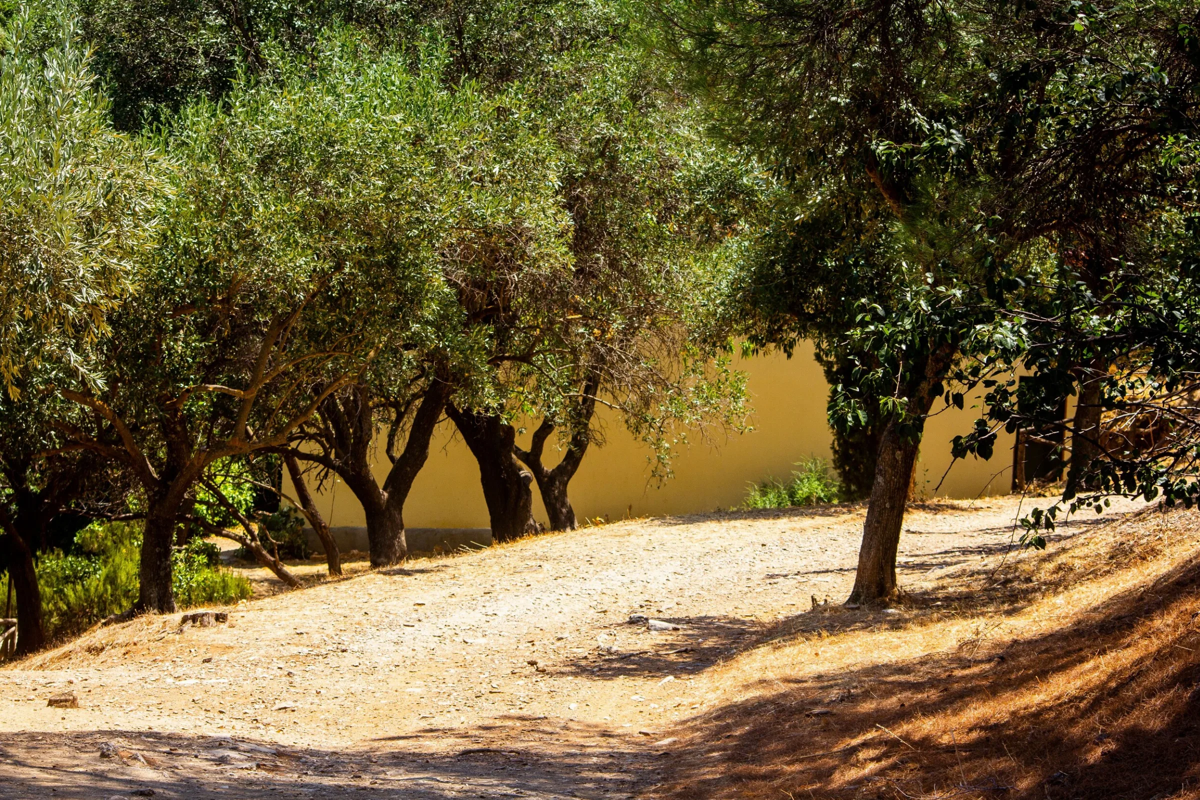 Route 14 hiking trail
