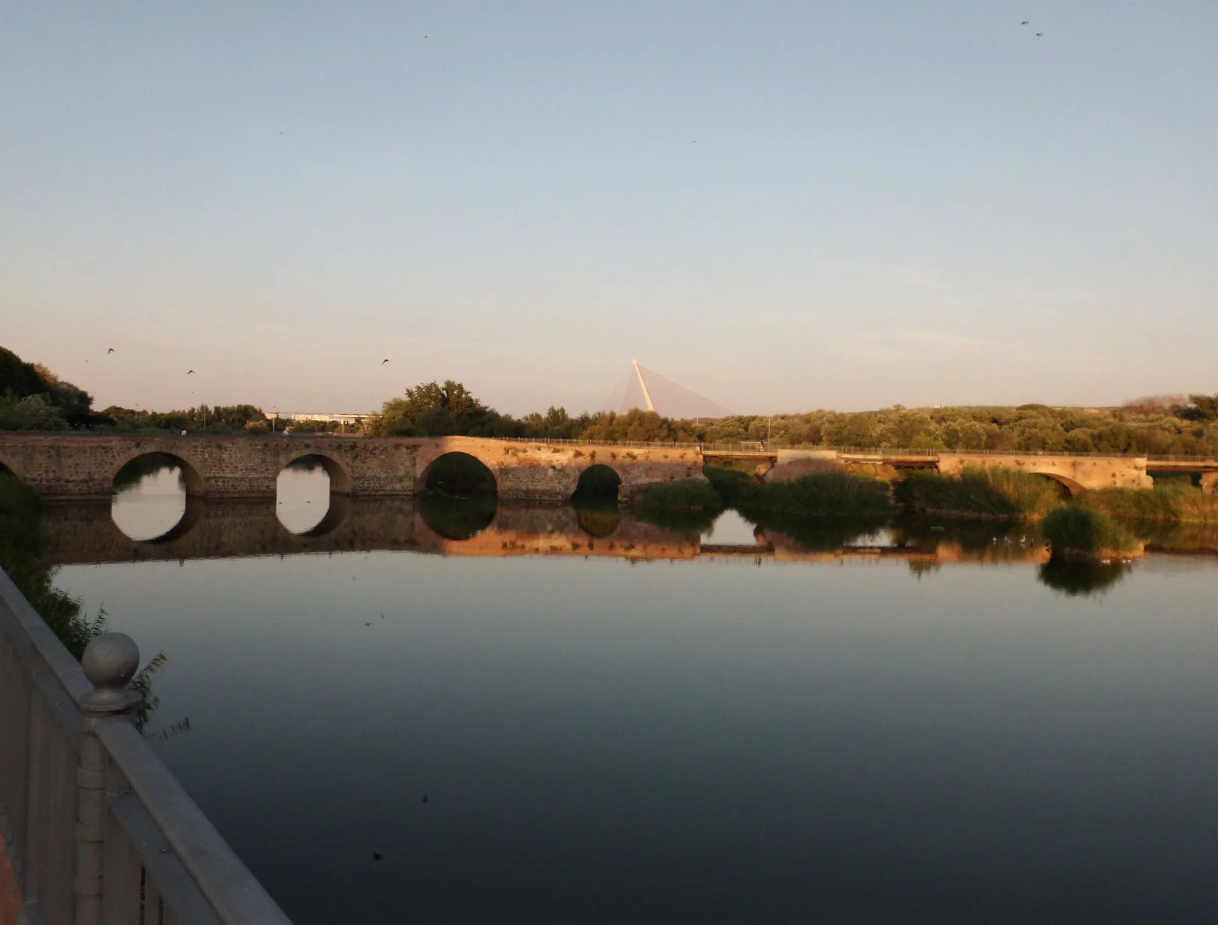 Talavera de la Reina