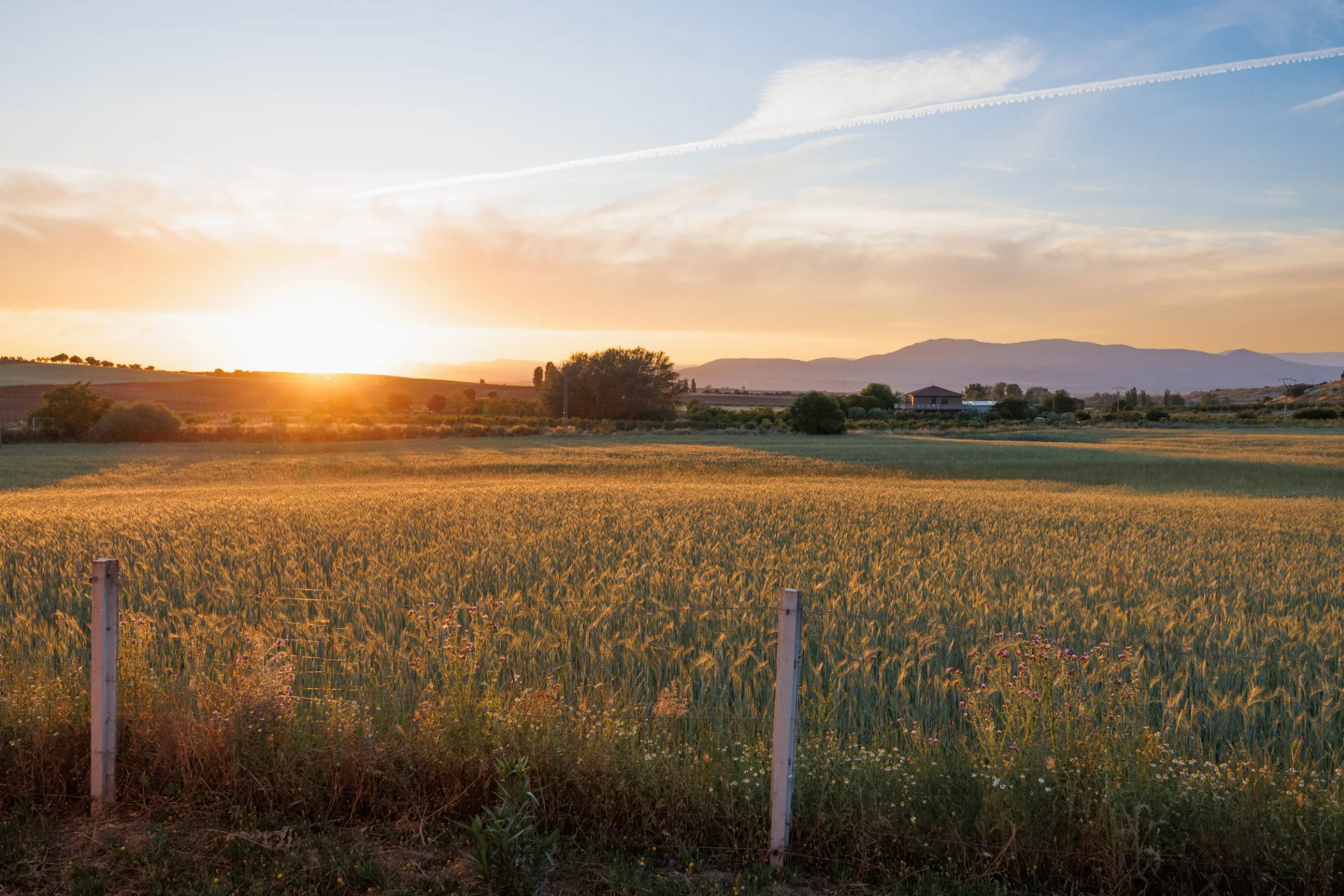 Sunset over the fields of Toledo from the estate