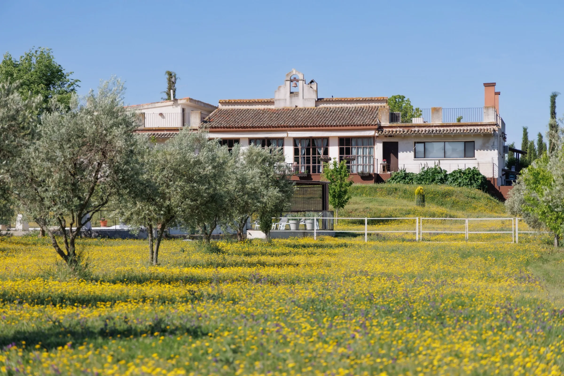 The house at Finca La Simona among the olive trees, at the end of the drive
