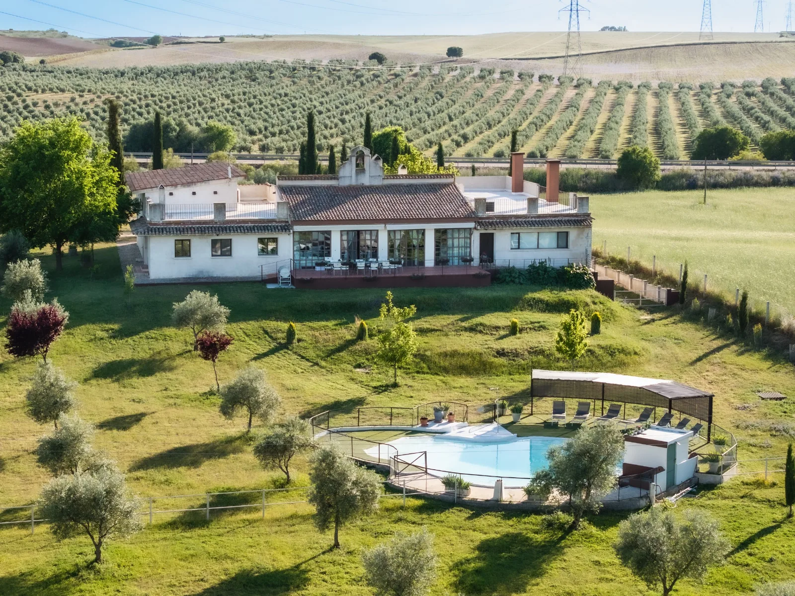Aerial view of Finca La Simona: the house, the pool and the olive grove