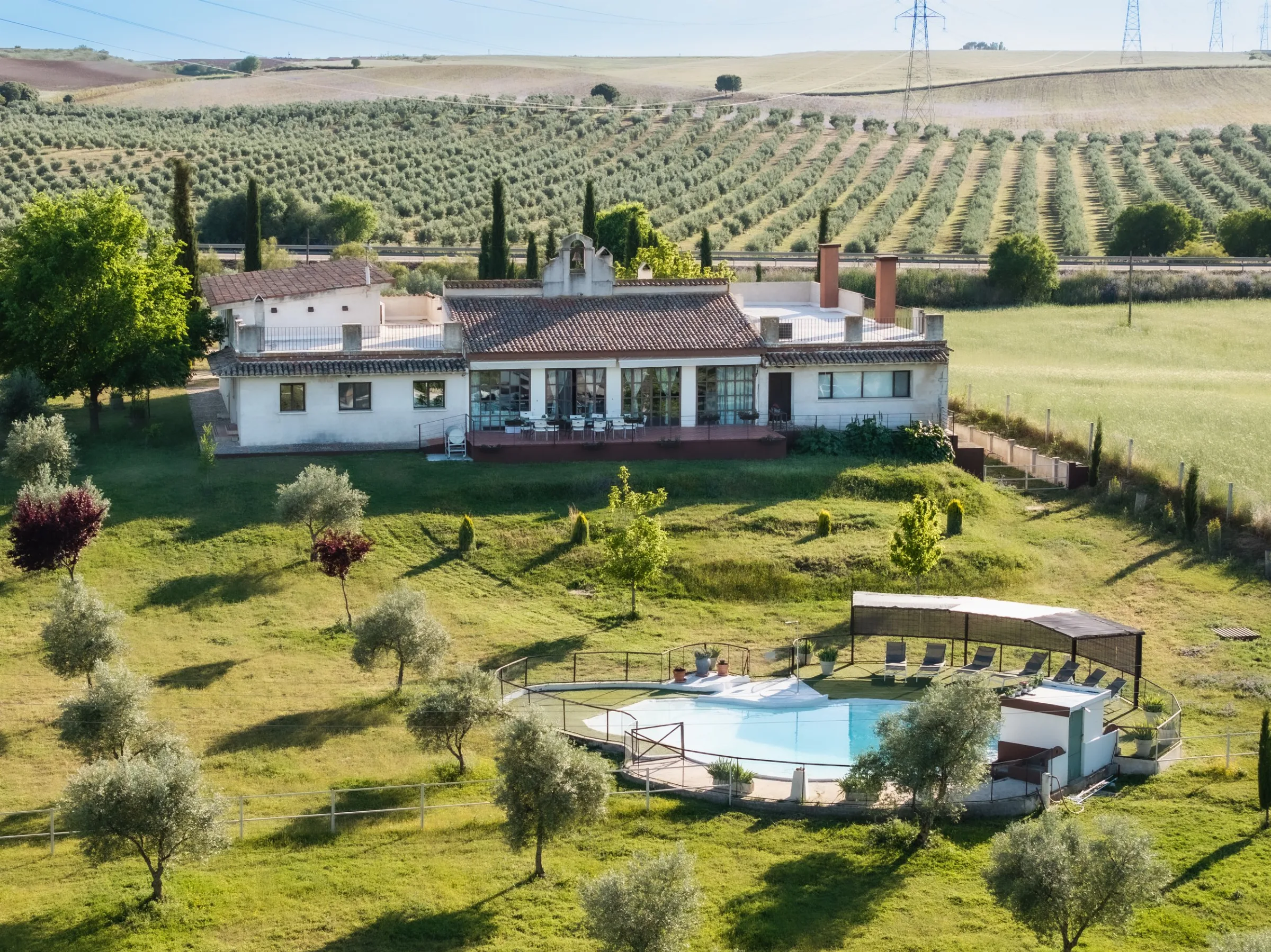 Aerial view of Finca La Simona: the house, the saltwater pool and the olive grove around them